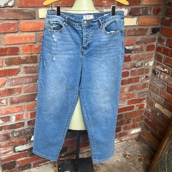 Jessica Simpson Denim - Jessica Simpson High Rise Vintage Straight Leg size 12/31